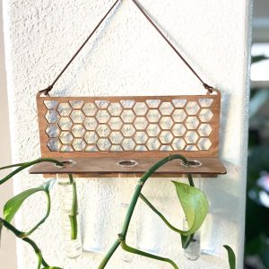 Beehive Propagation Station: Modern Boho Plant Decor with 3 Glass Tubes