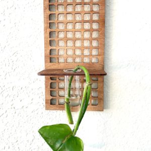 Geometric Wood Wall Plant Propagation Station: Boho Home Decor
