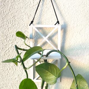 Farmhouse X Wall Plant Propagation Station: Baltic Birch, Glass Tube