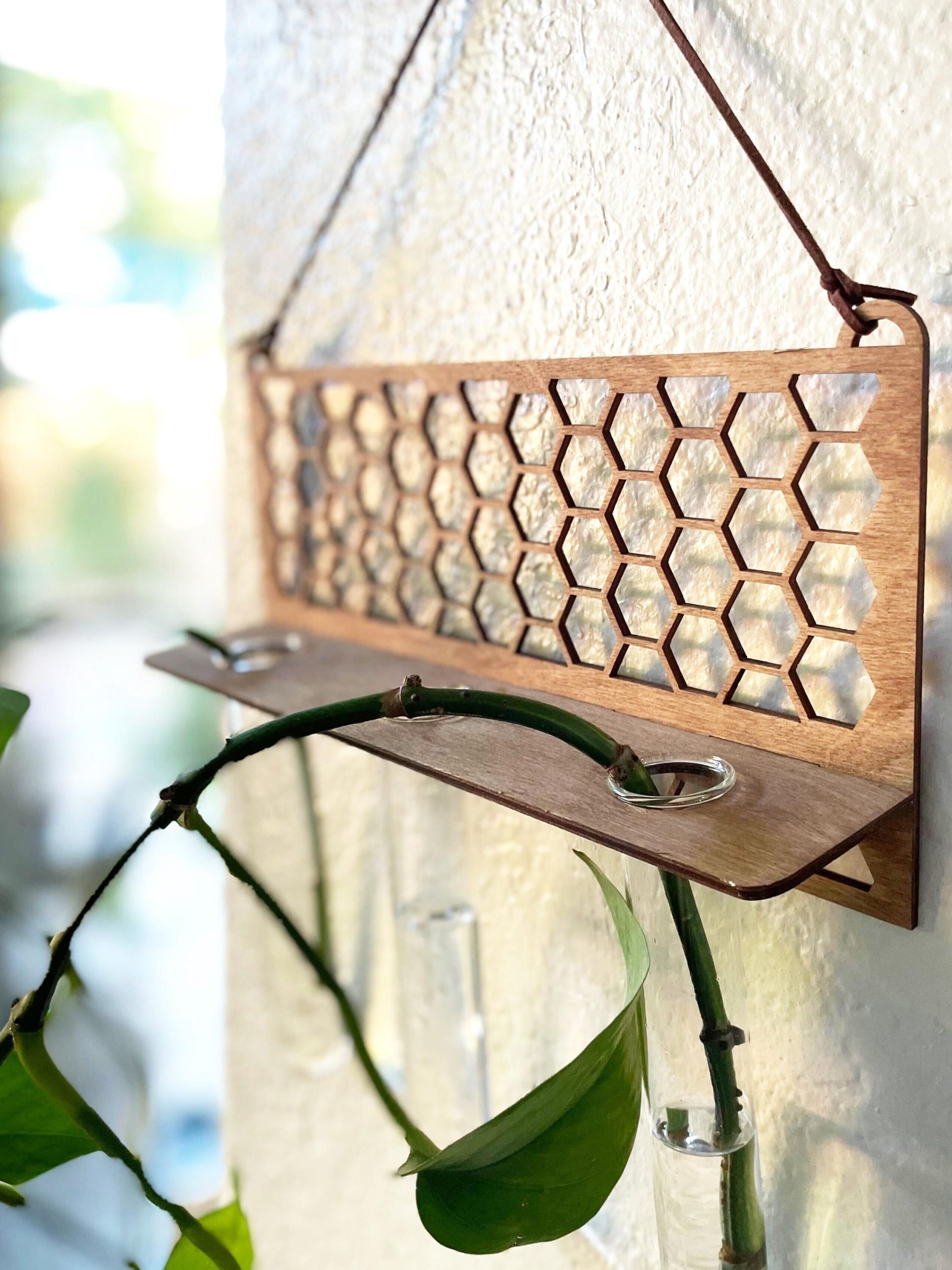 Beehive Propagation Station: Modern Boho Plant Decor with 3 Glass Tubes - Image 4