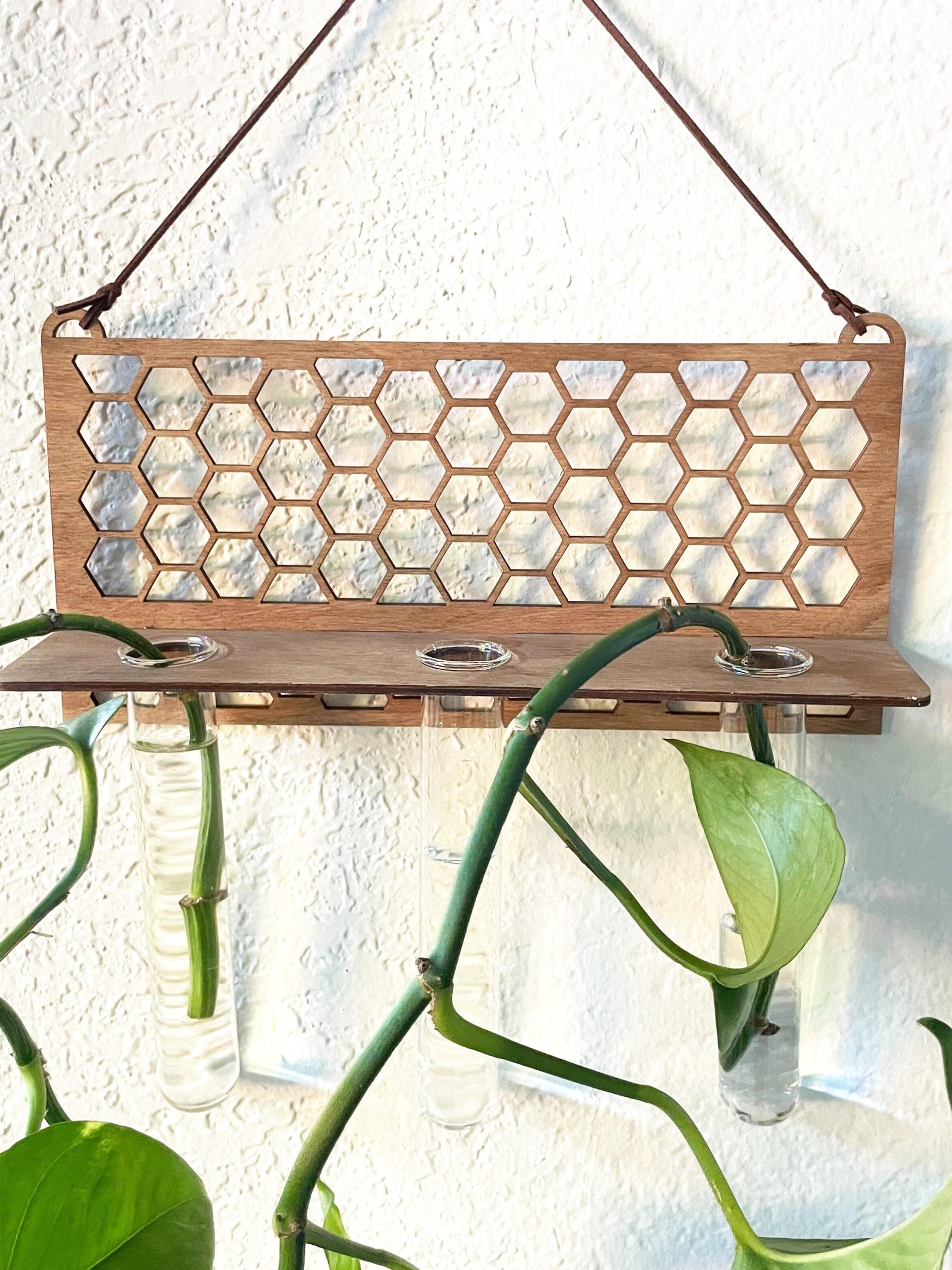 Beehive Propagation Station: Modern Boho Plant Decor with 3 Glass Tubes - Image 2