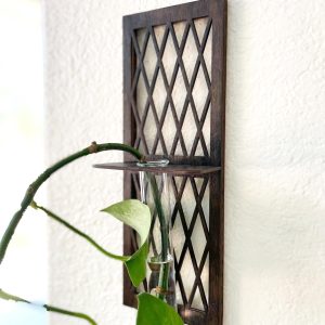 Wooden Plant Propagation Station: Lattice Design, Single Glass Tube