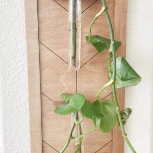 Geometric Wood Wall Plant Propagation Station, Choose Your Stain Color, Glass Tubes Available