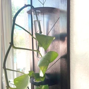 Geometric Arrow Plant Propagation Station: Rustic Wood Wall Decor